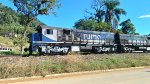 RUMO 4429